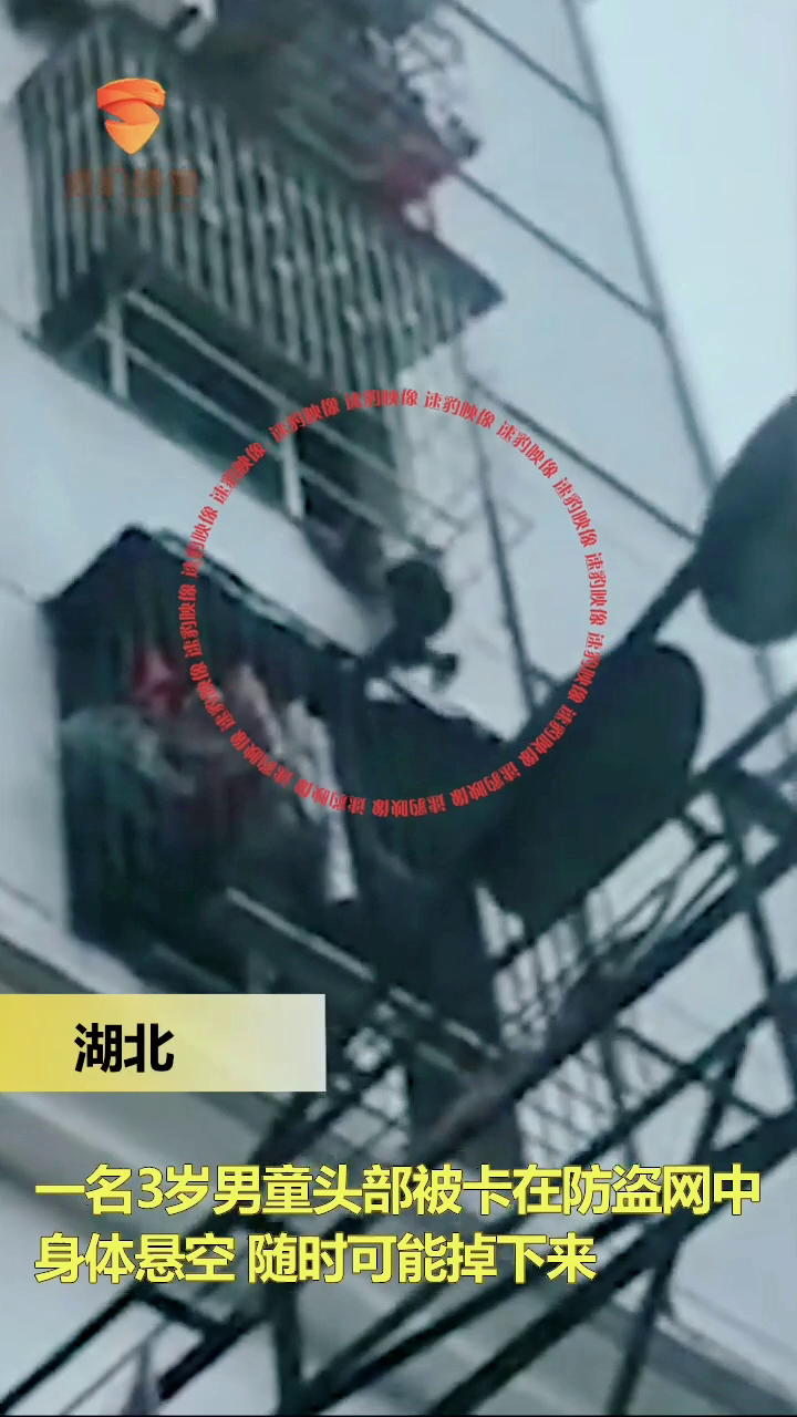资讯 第694页