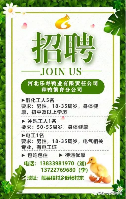瓦房店幼儿园最新招聘启事发布，职位空缺等你来申请！
