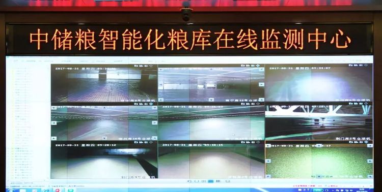 丁一舟和赖敏最新进展,专业调查解析说明_定制版42.50.16