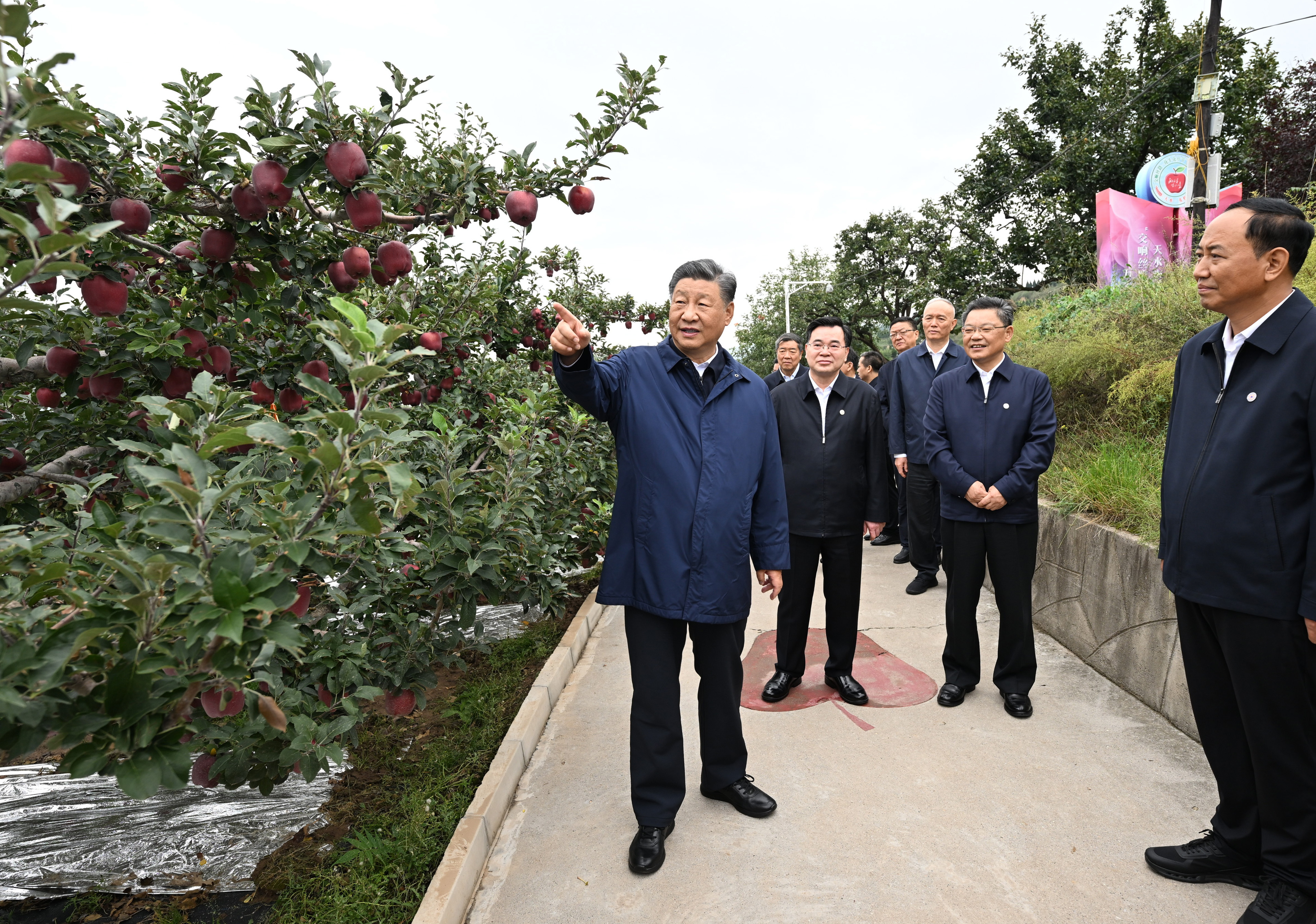 壶镇最新新闻,壶镇发展概况