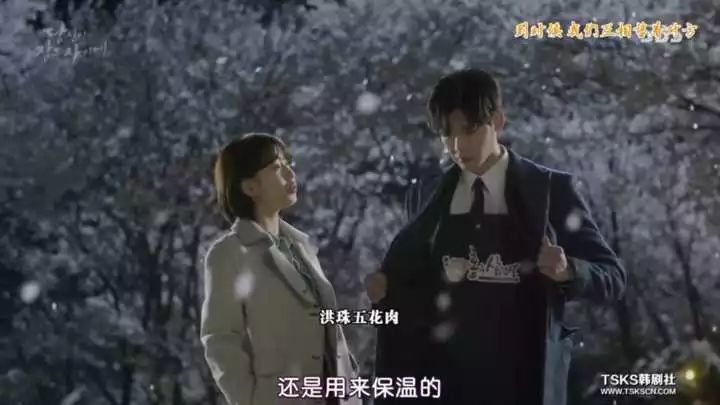 深度解析，韩剧当你沉睡时最新剧情走向揭秘