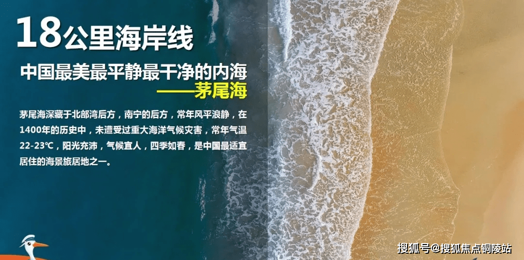 广西温馨日常，趣事连连，友情绽放的28日