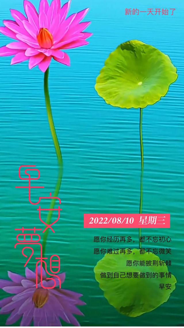 最新清晨寄语，与自然美景的邂逅，启程寻找内心平和之旅