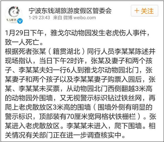 进展报告