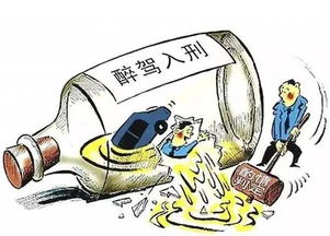 最新醉驾名单公布及合规应对醉驾问题的详细步骤指南