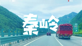 定州29日温馨日常，友情、欢笑与家的温暖时刻