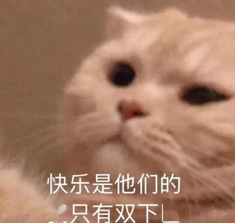 小巷深处的隐藏宝藏
