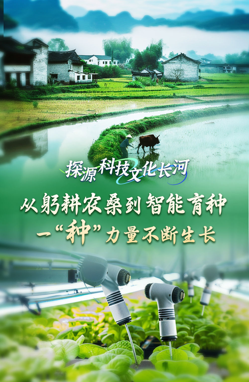 草根生活见证成长与温情——最新30日进展报告