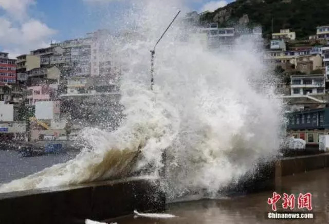 台风来袭，逆风翱翔，探寻自信与成就感的旅程