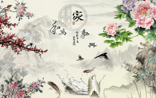 11月2日啊锋最新视频，全面评测与介绍