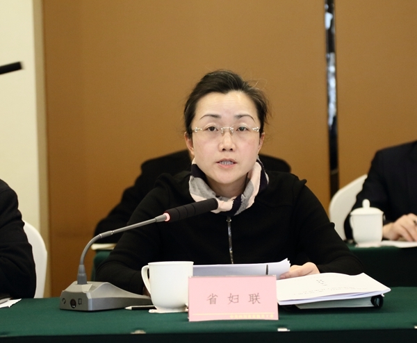 南岸水库工程最新动态解析，特性、体验、竞品对比及用户群体深度分析