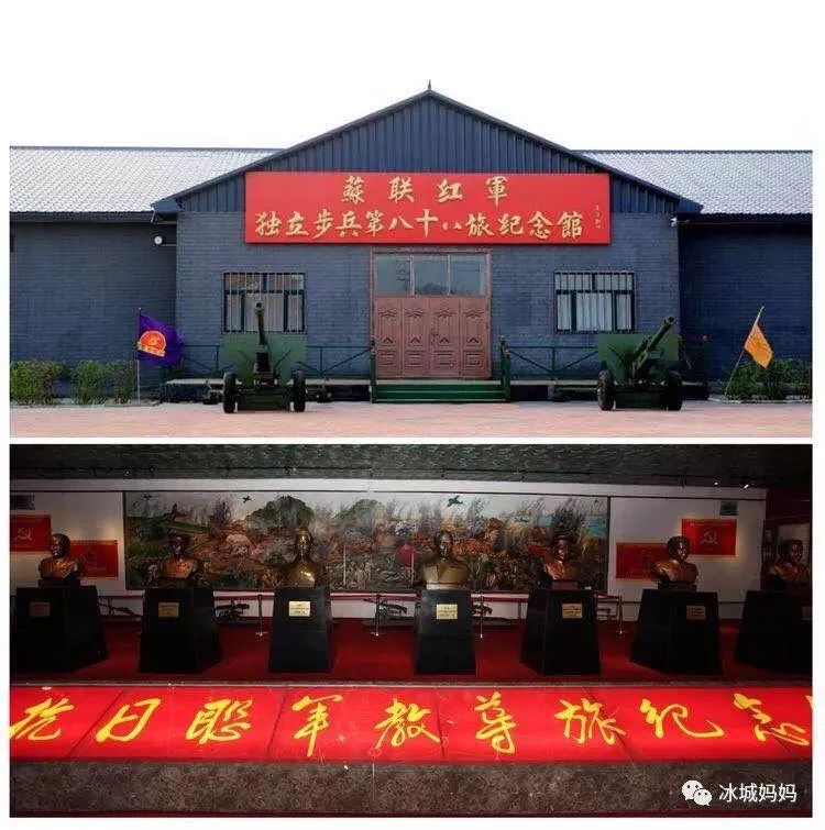 月湾鳄小河的新篇章，友情与陪伴的温馨日常动态更新