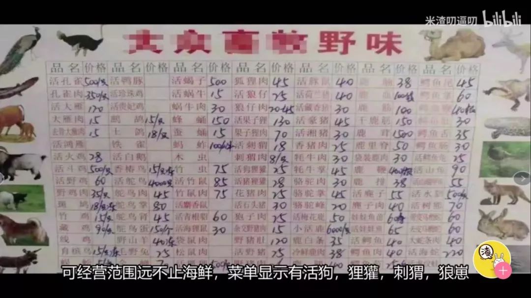 2024年11月10日 第5页