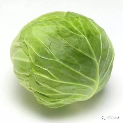 橘虞初梦 第55页