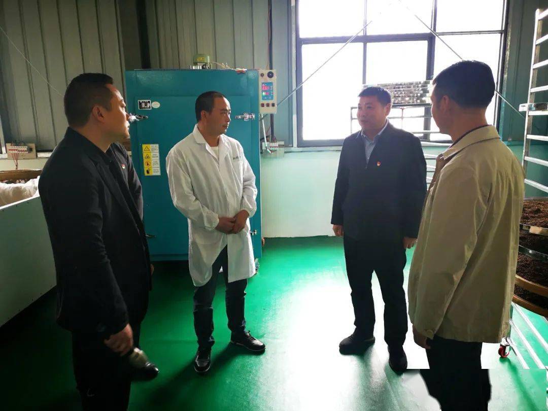 巨野县发展展望，揭秘最新进展与未来篇章（2024年11月10日）