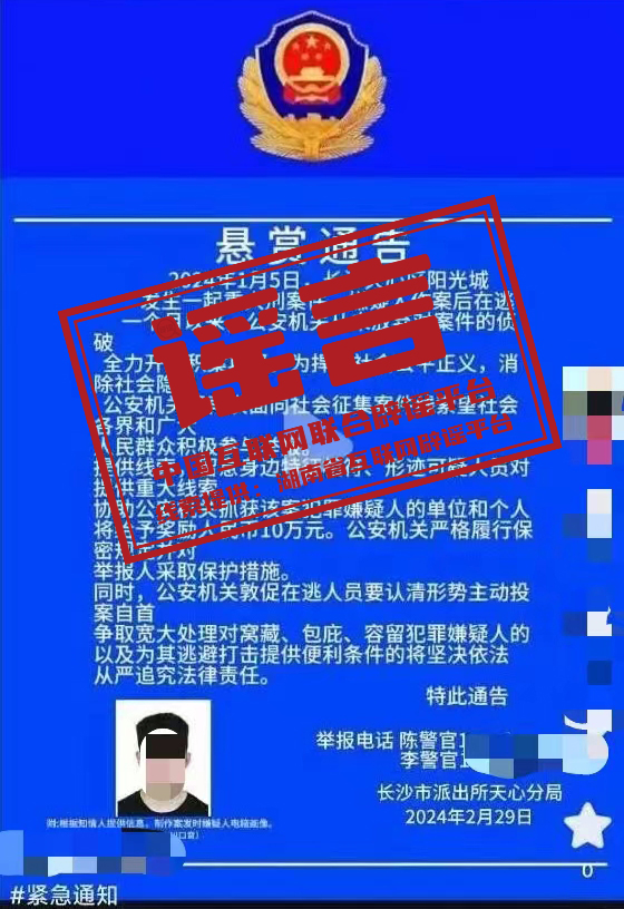 2024年湖南人才盛宴，最新招聘趋势与职业机遇展望