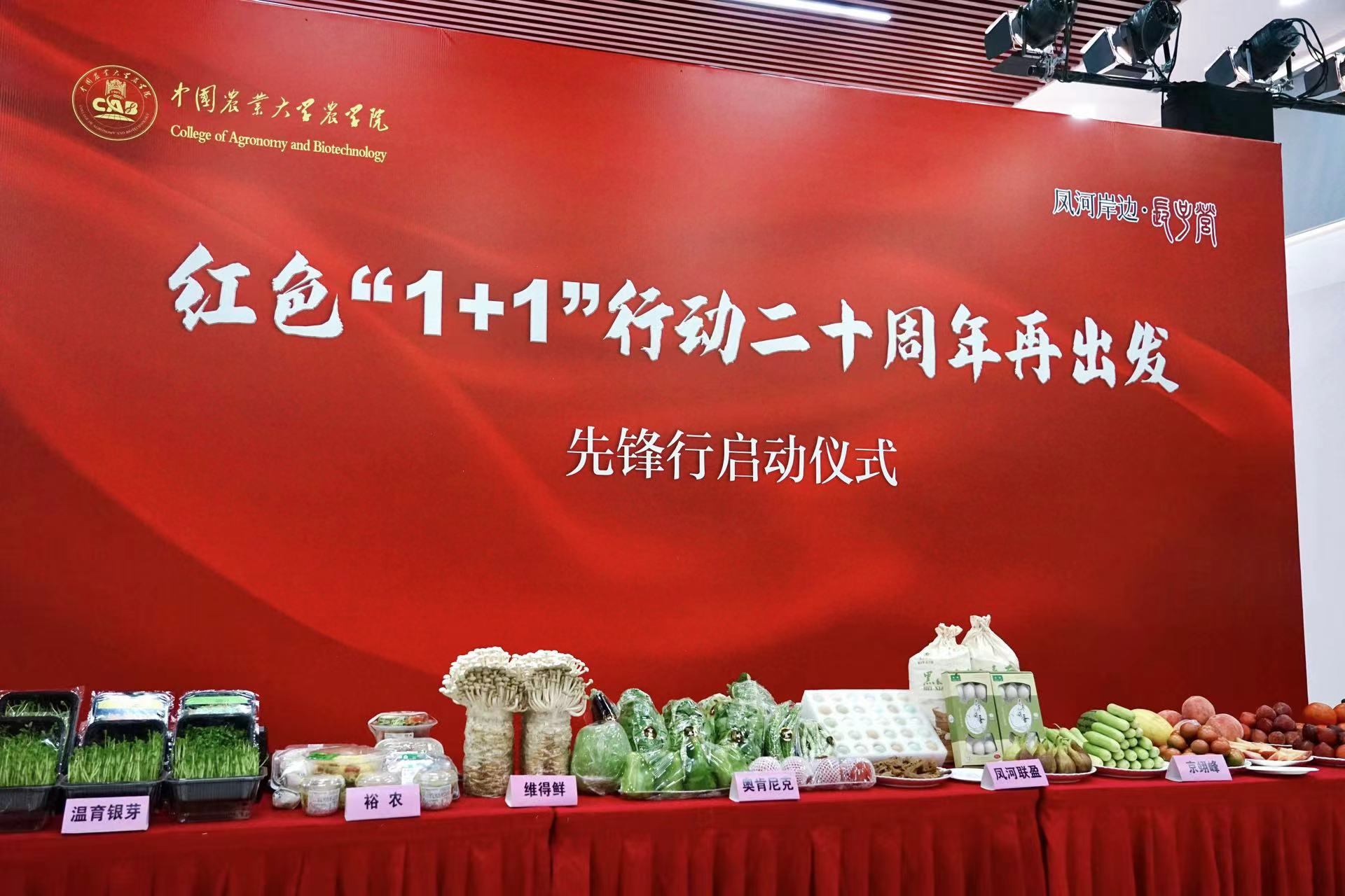 科技先锋党员之家新篇章，智能布置引领未来体验革命重塑生活实拍图展示