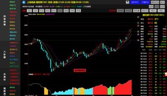 往年11月14日热门Flash软件下载指南及热门选择解析