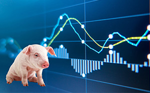 揭秘黑龙江玉米最新行情，11月价格走势分析与预测报告