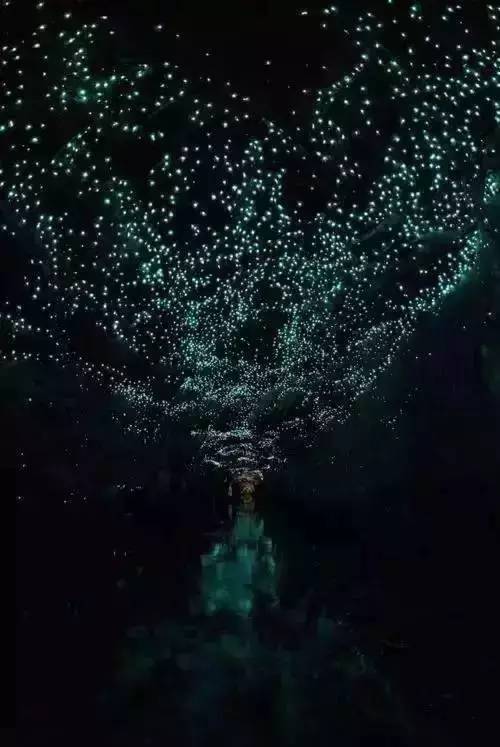 探秘科技秘境，人体芯片最新进展与小巷特色小店的奇妙故事（2017年11月最新报道）