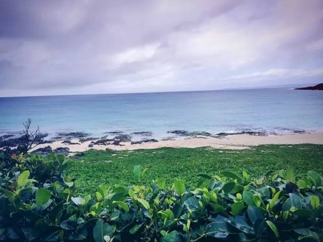 浅笑轻吟梦一曲 第16页