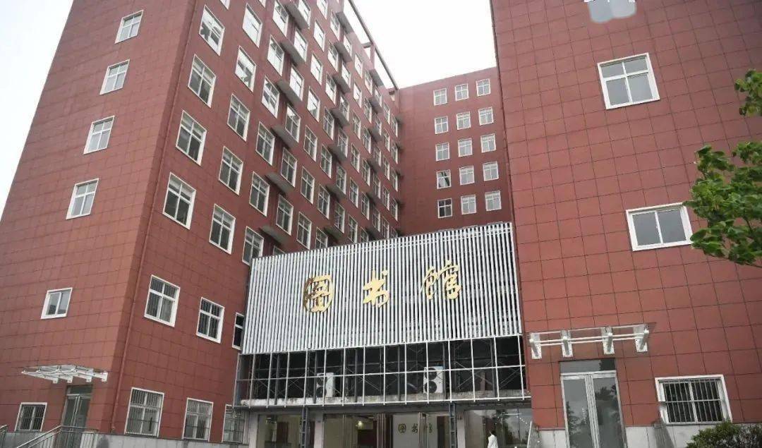 历史上的11月17日中山石岐急招全面评测与介绍今日最新急招信息速递