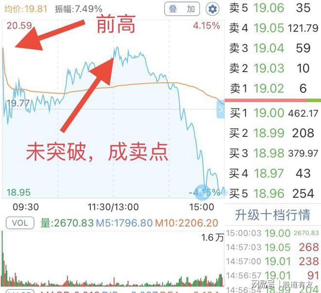 11月今日股票行情分析，最新动态与操作指南