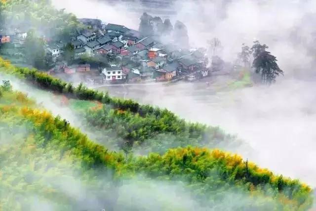 十一月十七日小书亭奇妙之旅，下载最新版，共赴自然美景