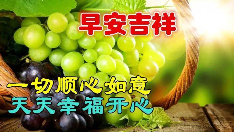 花开无言 第11页