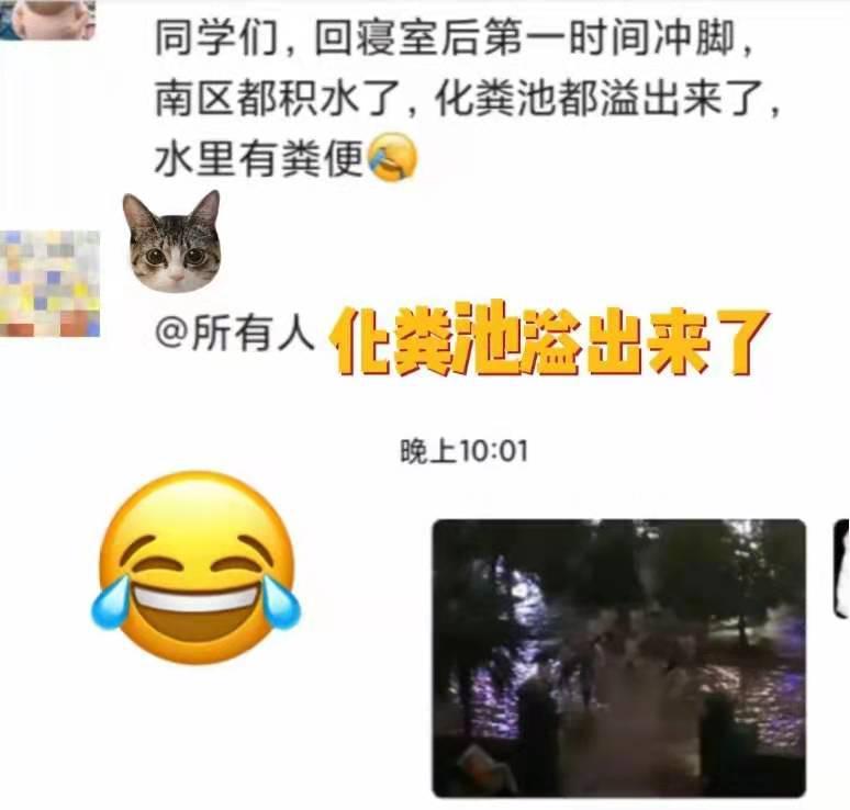 往年11月17日雨后故事最新，往年11月17日雨后故事大揭秘，最新篇章等你来探！