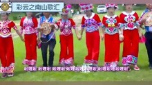 牟定左脚舞2016最新评测，特性、体验、竞品对比及用户群体深度分析
