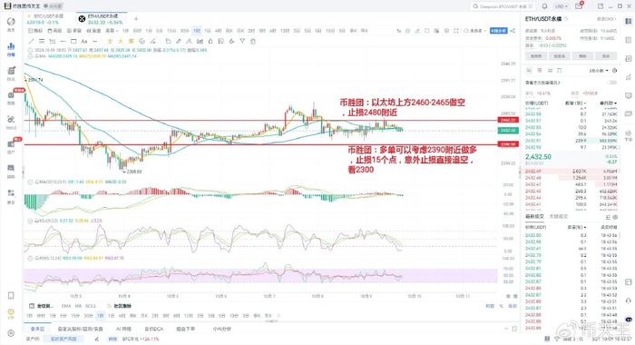 2024年鸡蛋市场洞察，今日价格走势背后的深层逻辑分析与最新价格