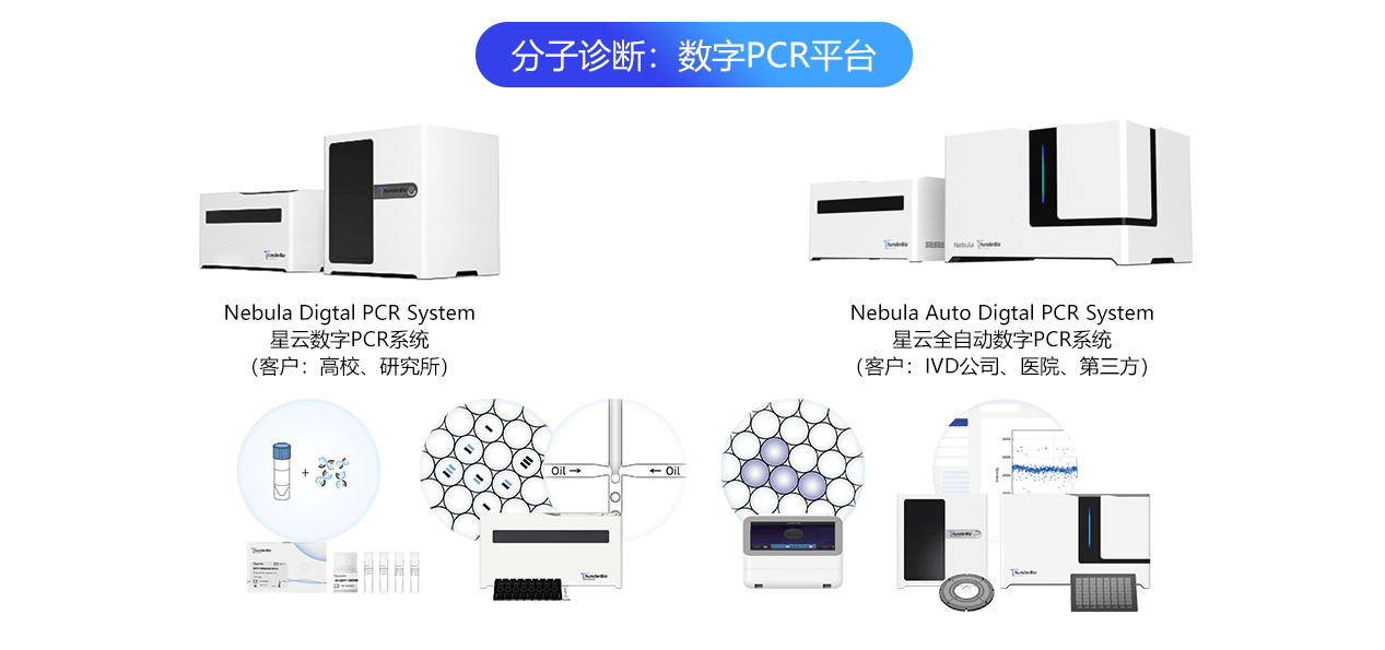 应用简介