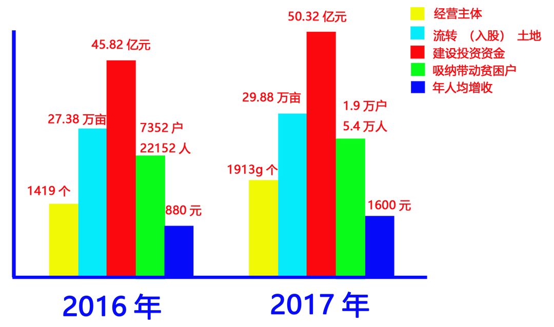 不断盘活集体资源，实现可持续发展的核心路径探索