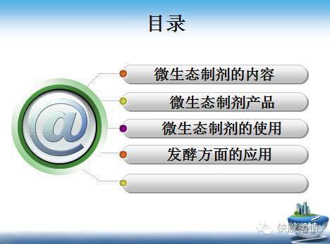 高效猪饲料配比技术，养殖效益提升的关键秘籍