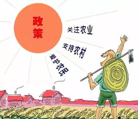 农村高效配送：农村配送什么赚钱 