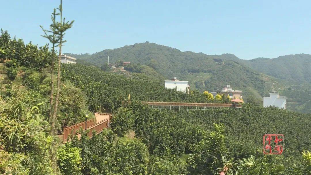 声如洪钟 第2页