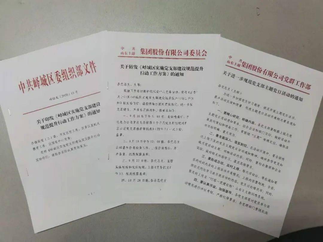 加强支部责任落实：党支部规范提升责任清单 