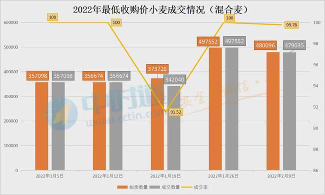 小麦拍卖技术规范：小麦拍卖交易中心 