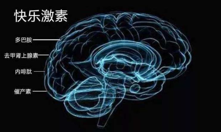 2025年1月18日 第19页