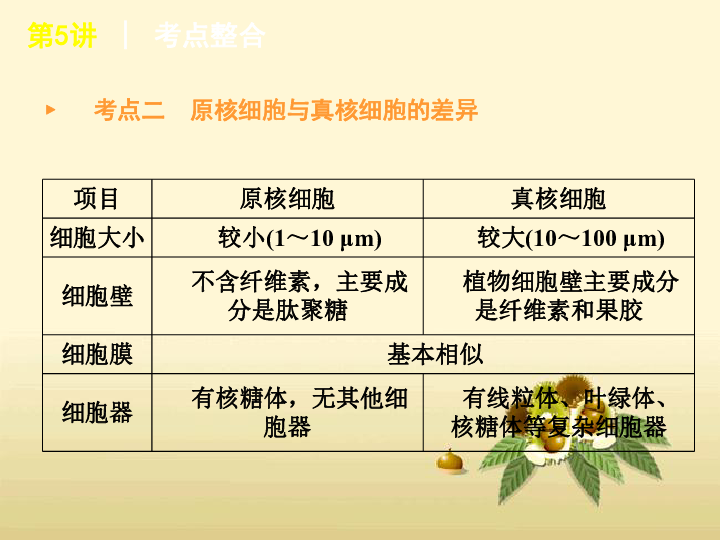 高照专题练习，提升学习效果的秘诀武器