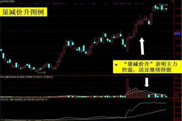 揭秘通贯掌，深度解析百度下的神秘纹路！