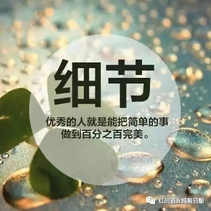 励志语录，五十条精选语句，探寻人生力量源泉