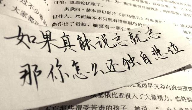 励志成语摘抄与文章语录，激发无限潜能！