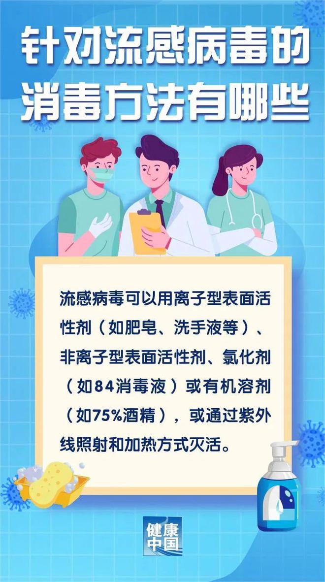 小狗蛔虫成长揭秘，了解、预防与治疗全攻略