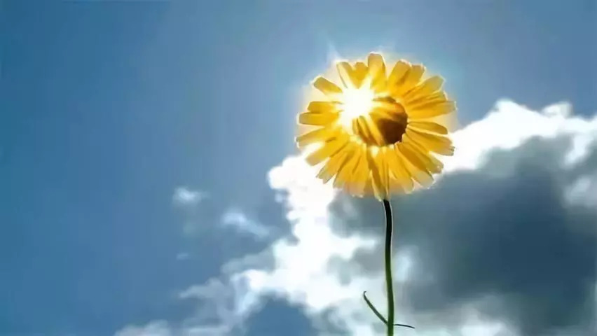 励志早安语录，开启美好一天的能量短句