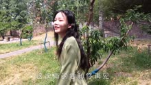 揭秘藕断丝连的秘密，为何斩不断这情缘纽带？