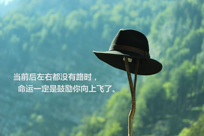 2025年2月 第7页