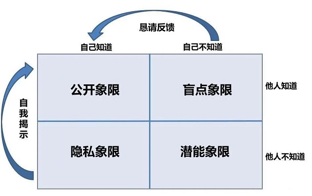 品牌背书的高效策略，构建信任，提升品牌价值
