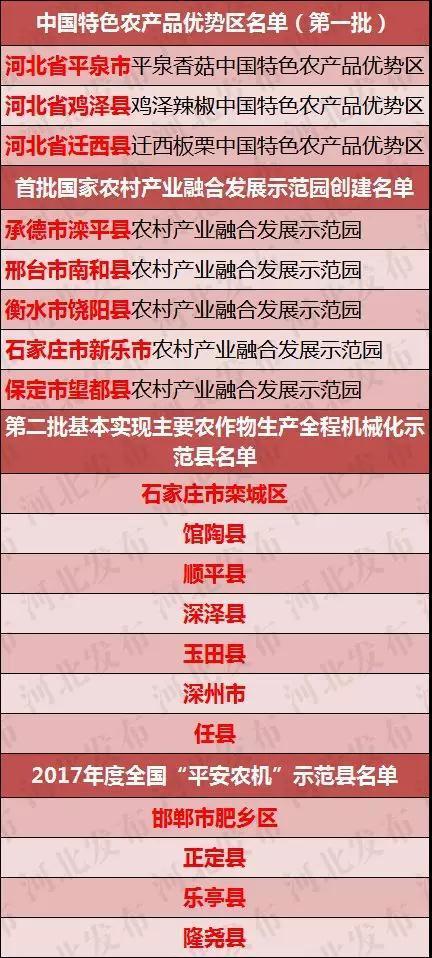 理赔公示乱象揭秘，问题及对策探讨